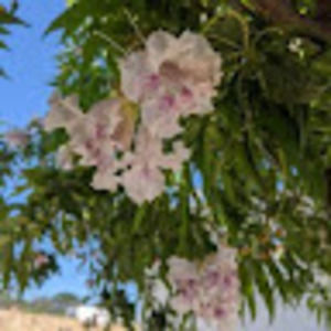 Meet your Posher, Bethany